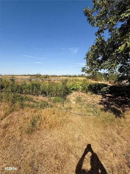 RECO Casa de vanzare in Gepiu, teren 1.439 mp - 11