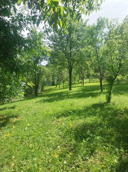 Teren de 1000 mp, în Podul Lung