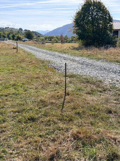 Teren de vanzare in Tohanu Nou, cu vedere spre Mun?ii Bucegi