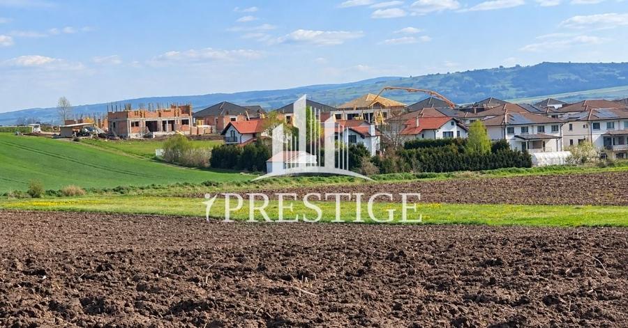Teren agricol extravilan de 10000 mp, în Șura Mică