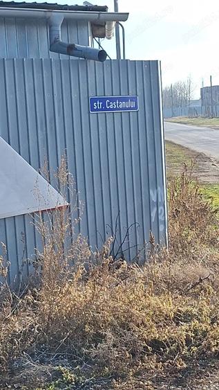 Teren de 800 mp, în Odaia Manolache