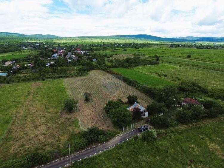 Teren Construcții intravilan de 4229 mp, în Blidari (Cârligele)
