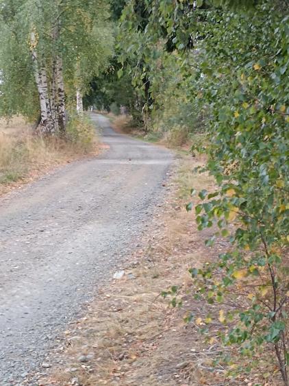 Teren de 3300 mp, în Râșca