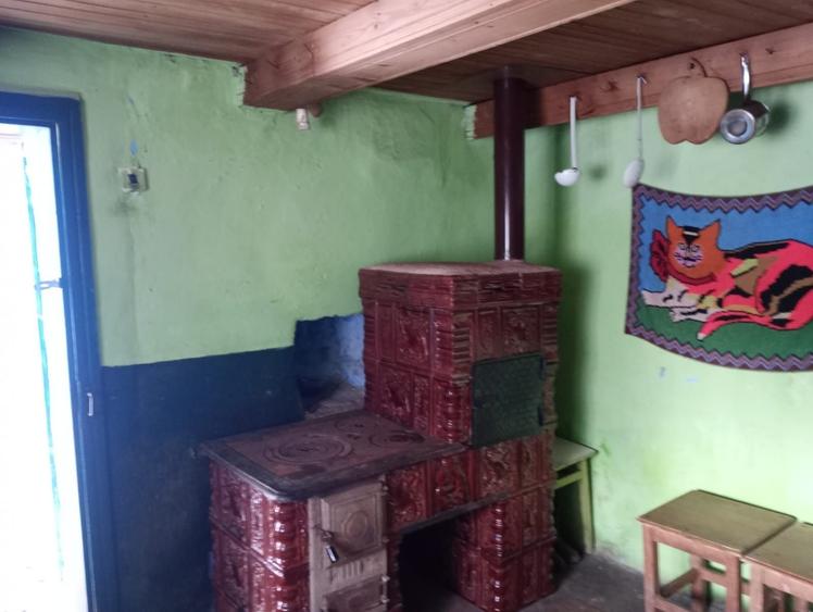 Vand casa comuna Sohodol Alba - 2