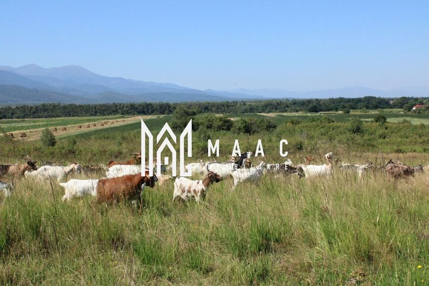 Teren agricol extravilan de 3100 mp, în Arpașu de Sus