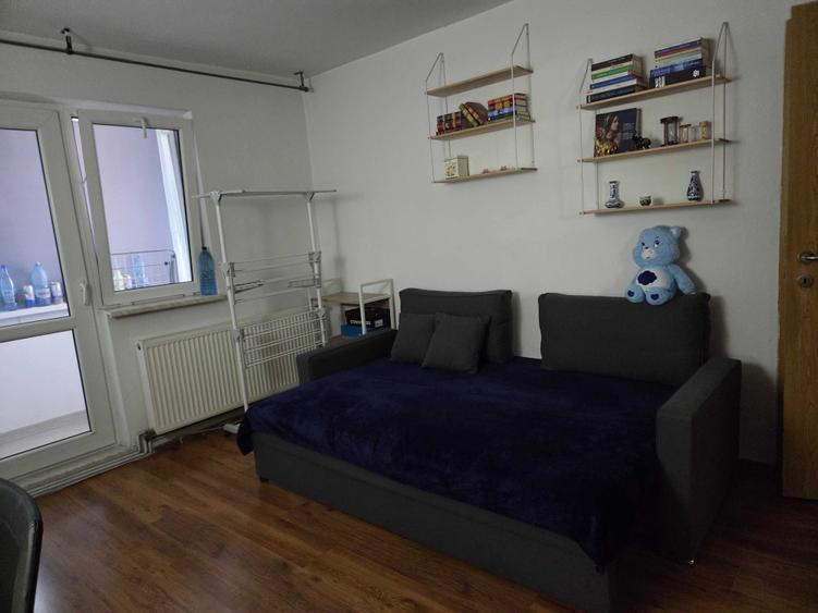 Apartament cu 2 camere nedecomandat în Noua