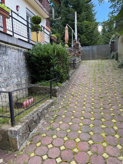 Casă cu 8 camere cu Teren 500 Mp în Vlădeț - Trei Brazi