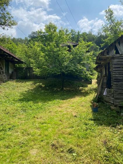 Casă cu 3 camere în Apostolache