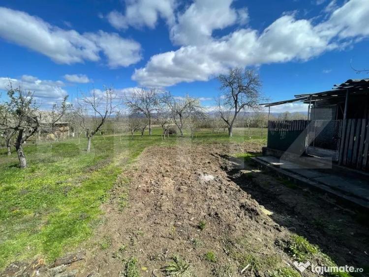 Casa cu 3 camere, 90 mp, 2 anexe gospodaresti si teren de 30 - 10