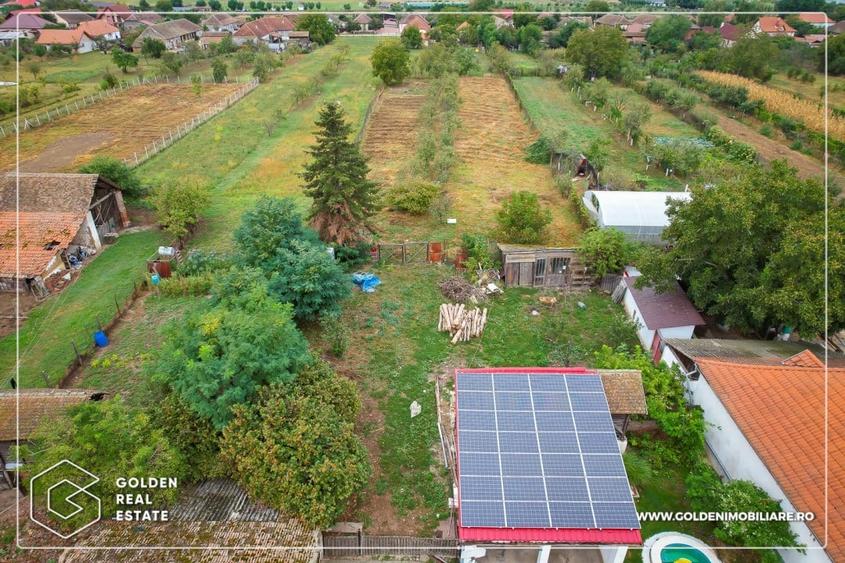 Casă individuală cu 4 camere cu Piscina în Peciu Nou