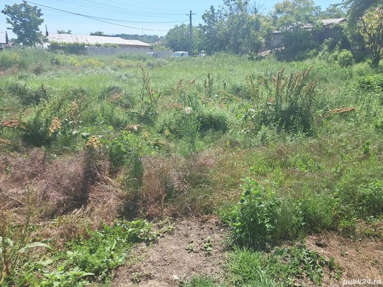 Casă cu 3 camere cu Teren 2000 Mp în Hotarele