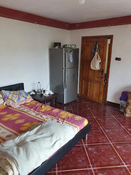 Ap cu 2 camere de vanzare,in vila,zona Mircea cel Batran - 9