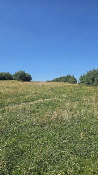Teren de 2200 mp, în Tohănița