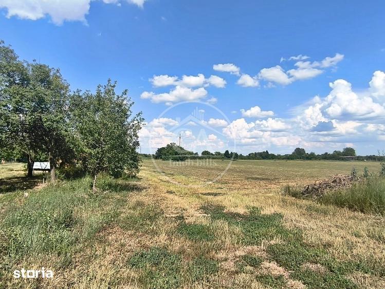 Teren de 1780 mp, în Sânmartin