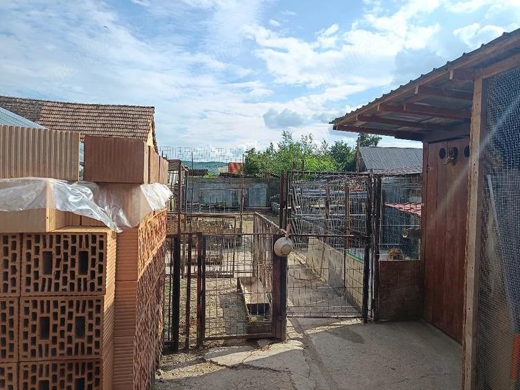 Casă cu Teren 810 Mp în Seleuș (Daneș)