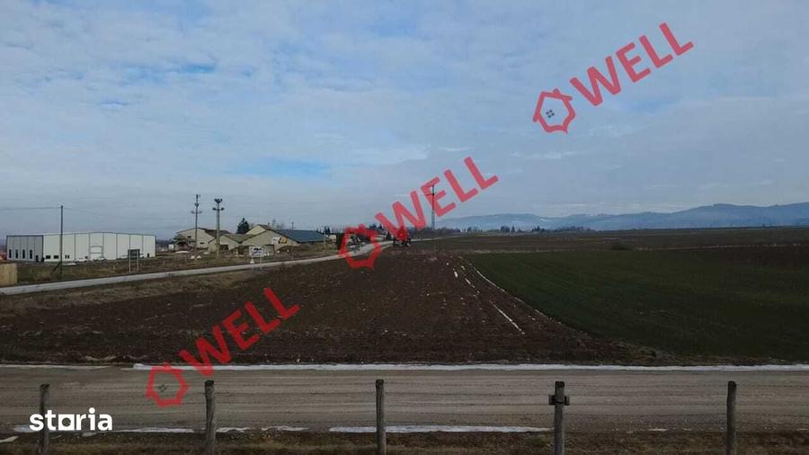 Teren de 4100 mp, în Tușnad