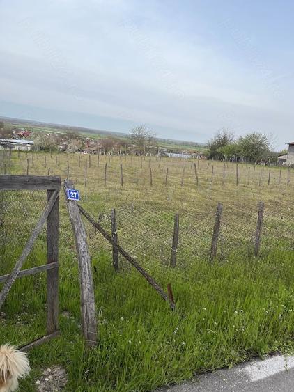 Teren de vanzare intravilan intr-o zona lini?tita - 1
