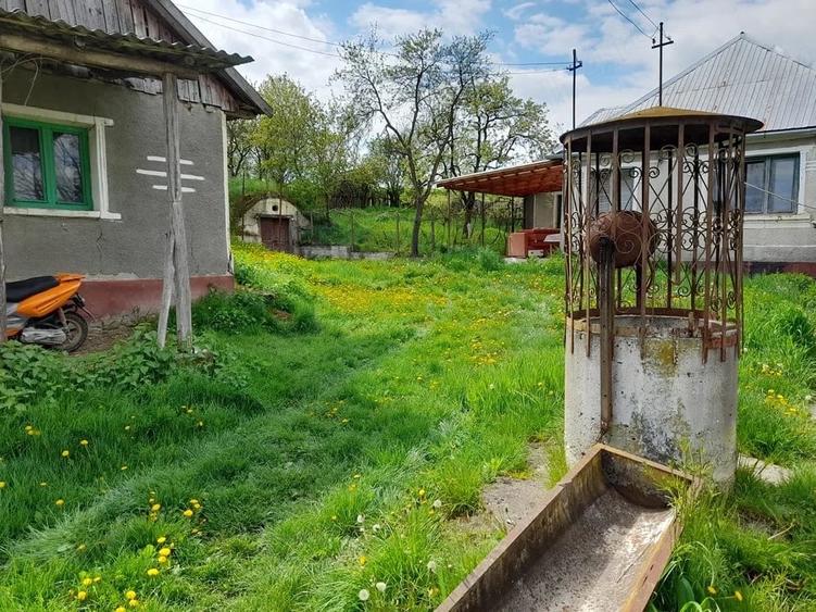Casă cu Teren 3096 Mp în Boianu Mare