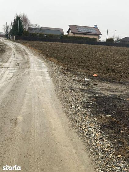 Teren de 1500 mp, în Hemeiuș