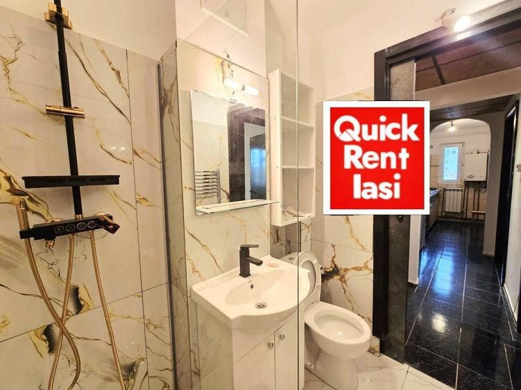 Bulevardul Alexandru Cel Bun Apartament 2 Camere Decomandat De Inchiriat - 11