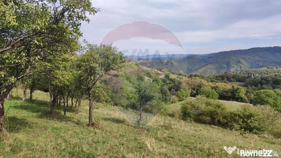Teren de 3082 mp, în Damiș