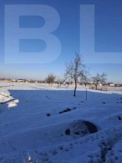 Casă individuală cu 4 camere cu Canalizare în Lugoj