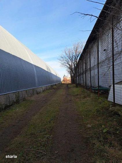 Teren de 4600 mp, în Gura Vitioarei