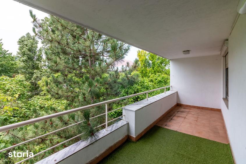 Nordului - Aron Cotrus, 4 camere, vedere Satul Francez - 10