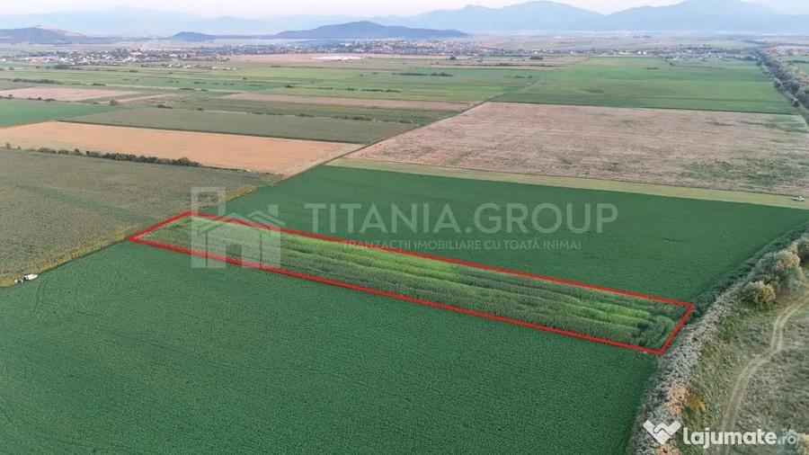 Teren extravilan, 8700 mp, pretabil agricultura sau inve... - 1