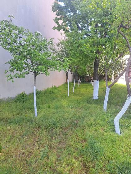 Casă cu 5 camere cu Teren 1202 Mp în Romanești