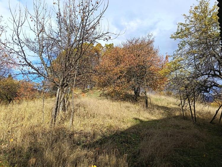 Casă individuală cu 2 camere cu Teren 4000 Mp în Cavnic