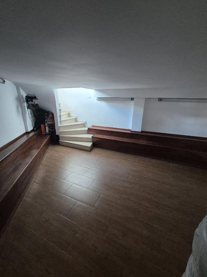 Proprietar,sp.comercial,cabinet,salon,agentie,Tineretului-Parcul Carol - 7