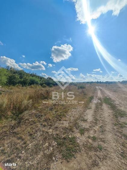 Oportunitate excelenta de investitie! Teren 12.600 mp. Unirea - 16