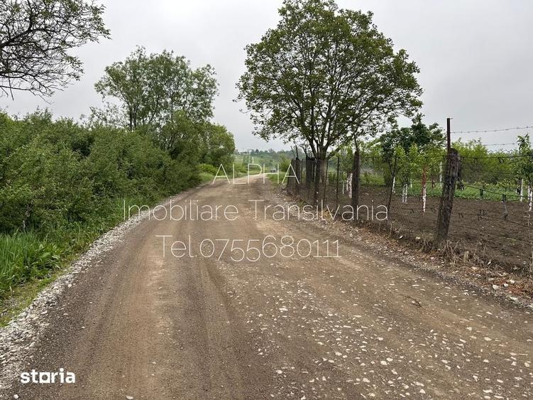 Teren de 5920 mp, în Central