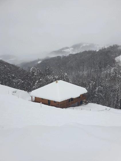 Casă cu Teren 2000 Mp în Sohodol