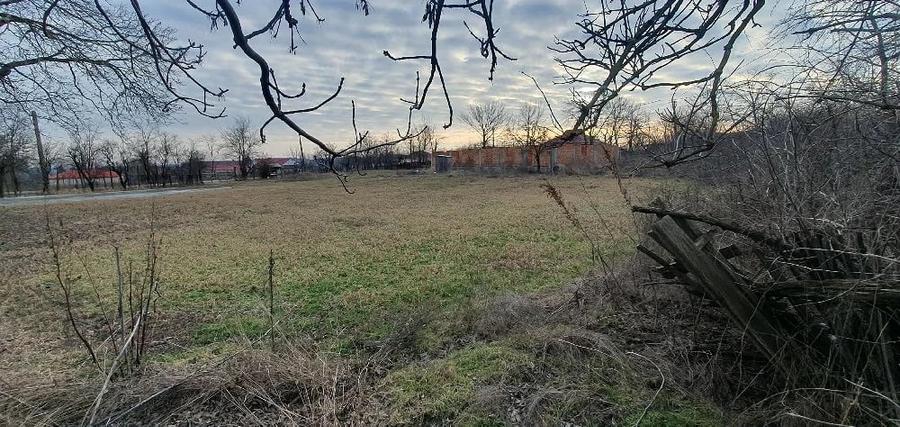 Teren de 3200 mp, în Deleni