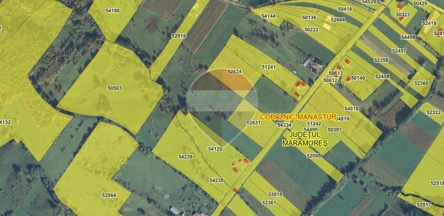 Teren Construcții intravilan de 7430 mp, în Berința