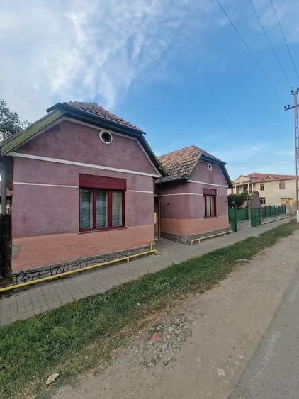 Casă cu 3 camere cu Teren 288 Mp în Deta