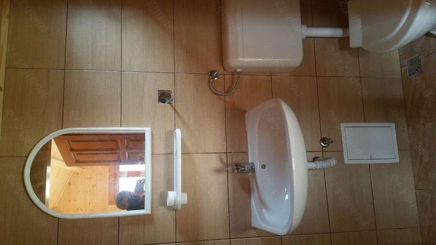 Casă cu 2 camere în Bradu