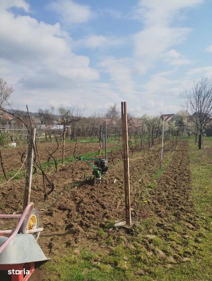 Casă cu 2 camere cu Teren 1100 Mp în Oituz