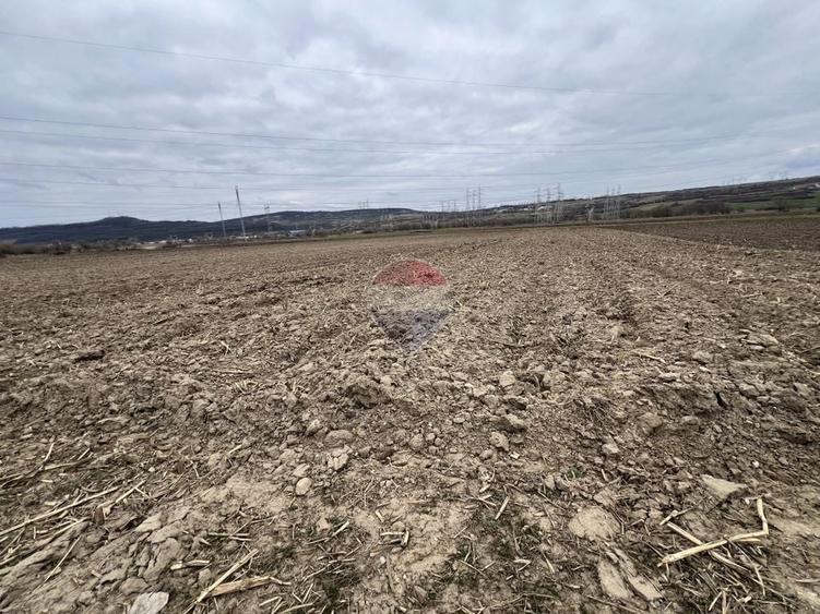 Teren agricol extravilan de 2800 mp, în Șelimbăr