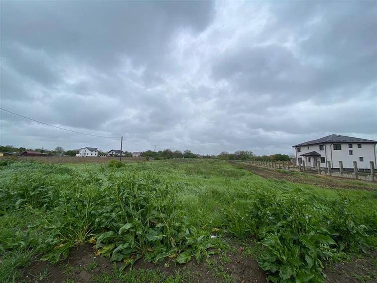 Teren Construcții intravilan de 3993 mp, în Ciorogârla