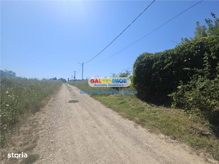 Spațiu comercial, în Grădiștea