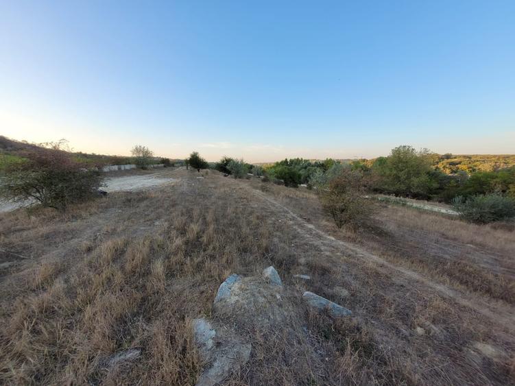 Teren agricol extravilan de 14000 mp, în Cernavodă