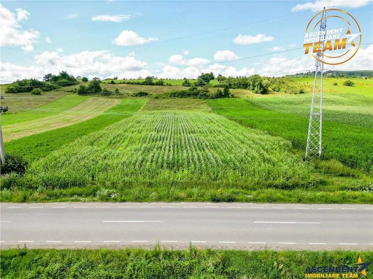 Teren de 7400 mp, în Sâncraiu