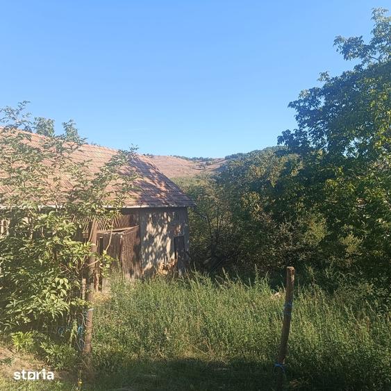 Casă cu 2 camere cu Teren 6512 Mp în Cricău