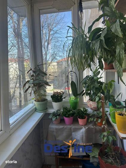 Apartament cu 2 camere, mobilat în Aradului — fotografia 3