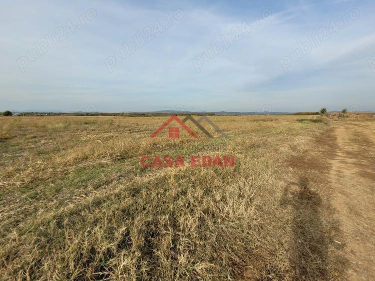 Teren intravilan in Baicoi zona targului--10.000mp--5e - 8