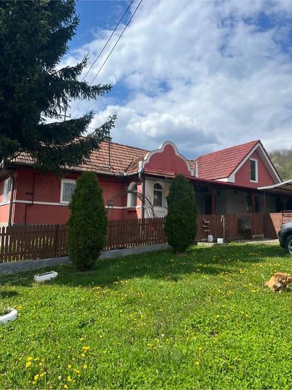 Casă cu Teren 20000 Mp în Central