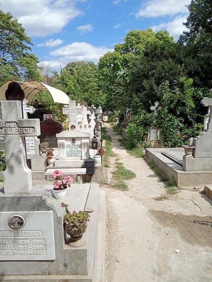 Teren în Central